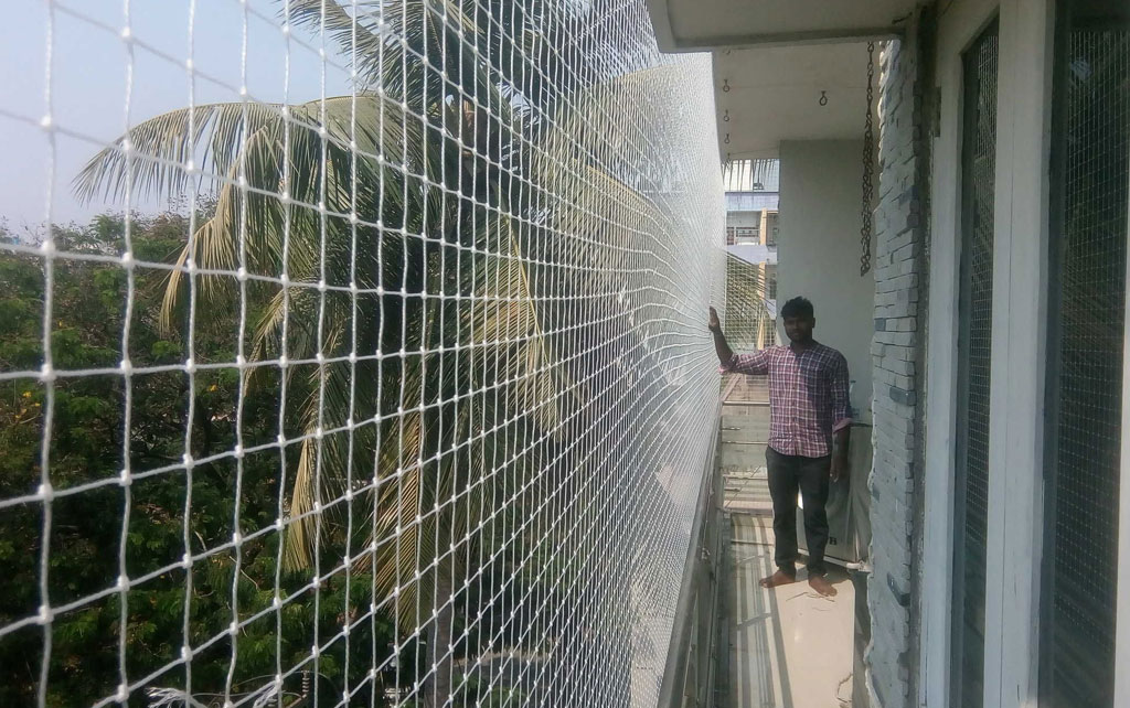 Bird Netting Services In Gurugram